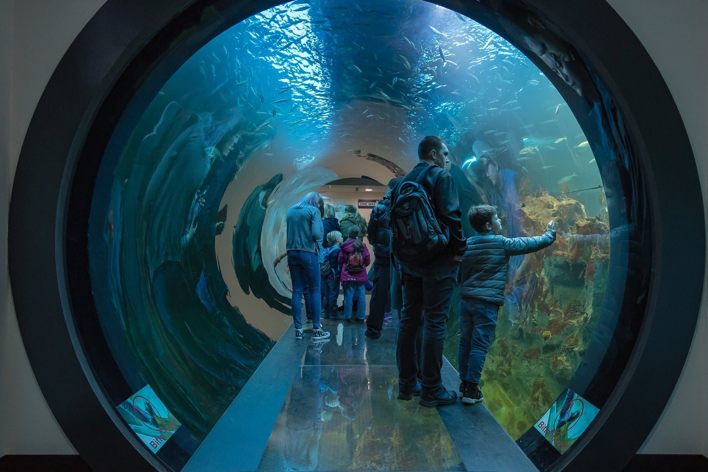 Besucher im blauen Atlantiktunnel des Hauses des Meeres