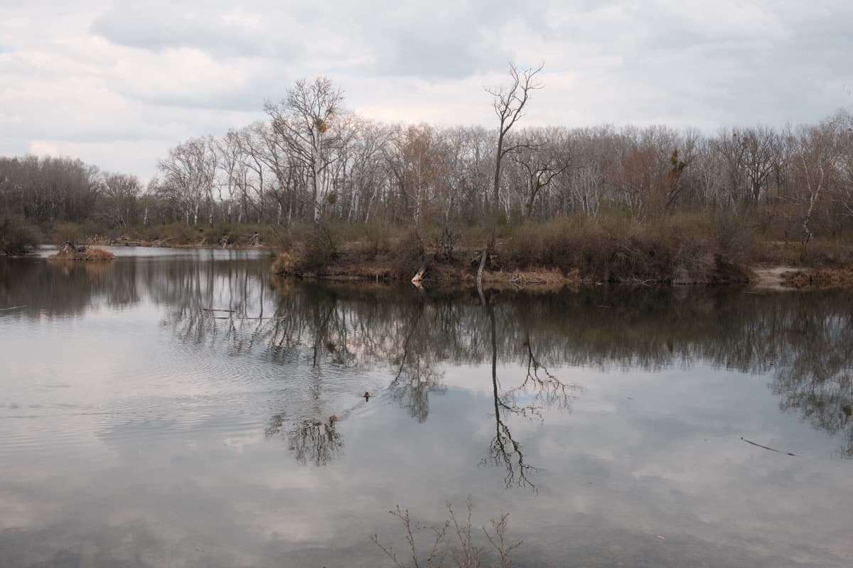 Lobau - See